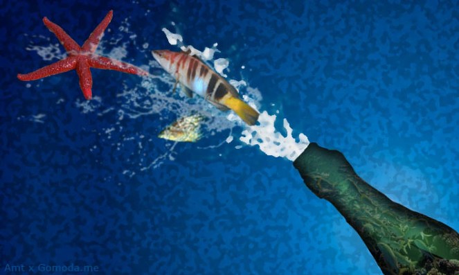 SPLASH Amt per gomoda