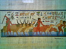 transumanza nellantichita.jpg